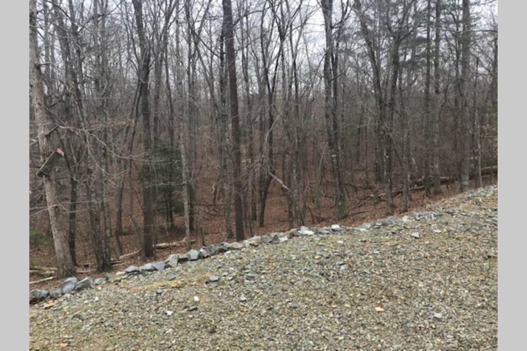 Eagle Mountain River Retreat Ellijay Exterior foto